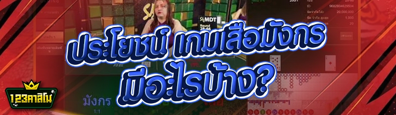 ประโยชน์ เกมเสือมังกร มีอะไรบ้าง?